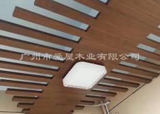 红雪松 香柏木